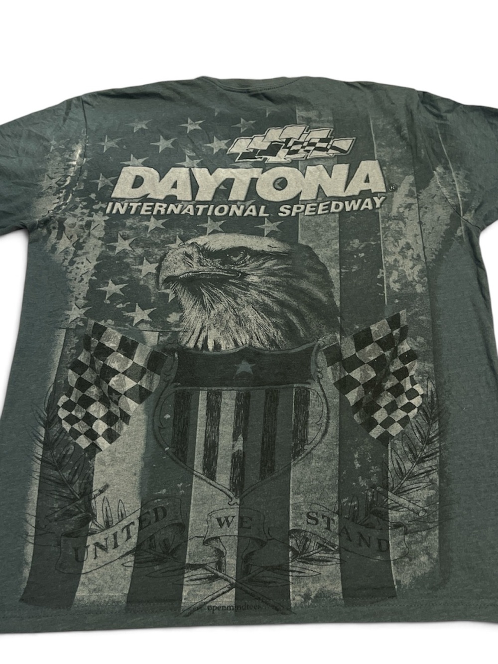 Fanatics Daytona International Speedway Eagle Graphic Tee - Gray Fanatics Sz L